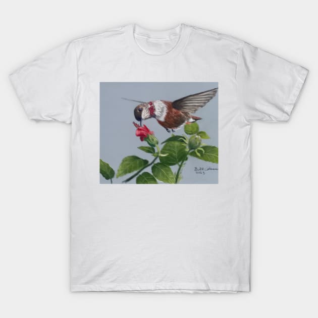 Rufous Hummingbird T-Shirt by Bill Cameron Fine Art